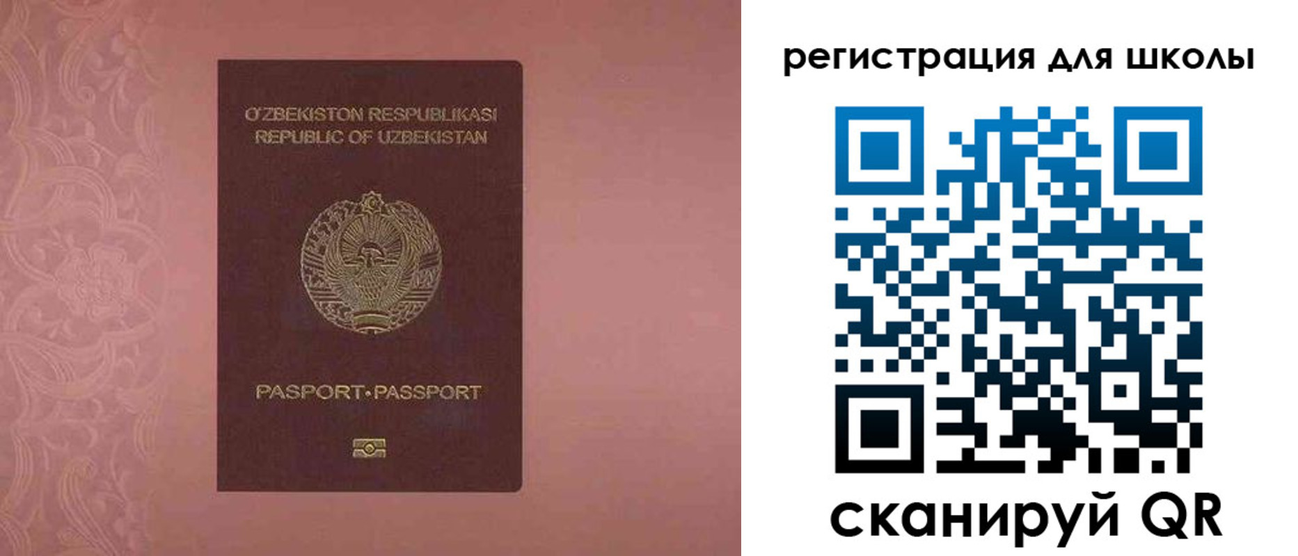 прописка для школы в Раменском